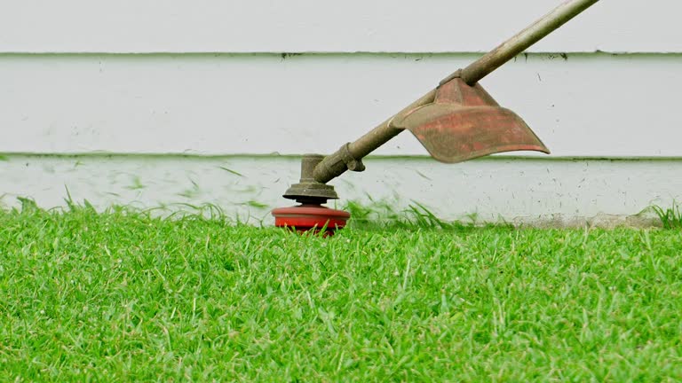 Grass Overseeding in Cuero, TX
